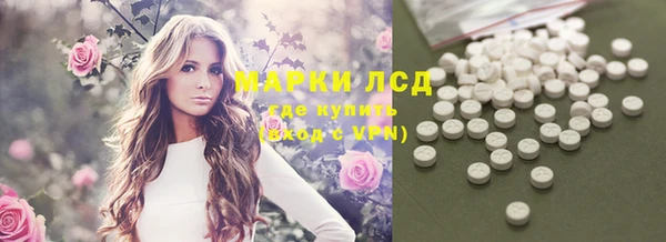 spice Елизово