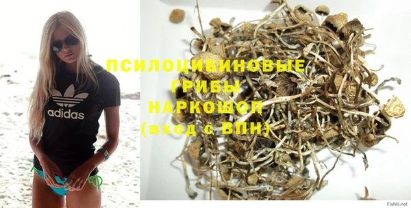 spice Елизово