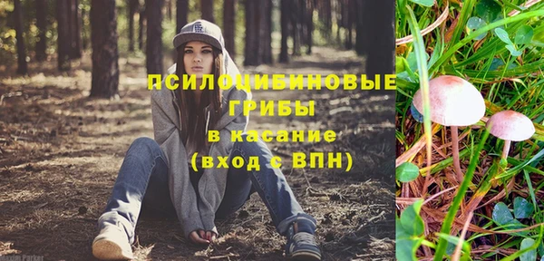 spice Елизово