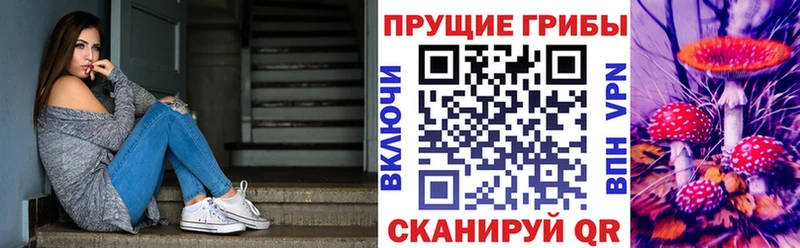 Купить закладки  Фурманов  Галлюциногенные грибы ЛСД 